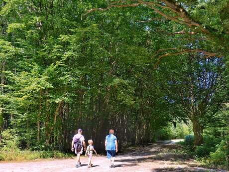 SENTIER DE RANDONNÉE LES 2 PONTS À NOYANT