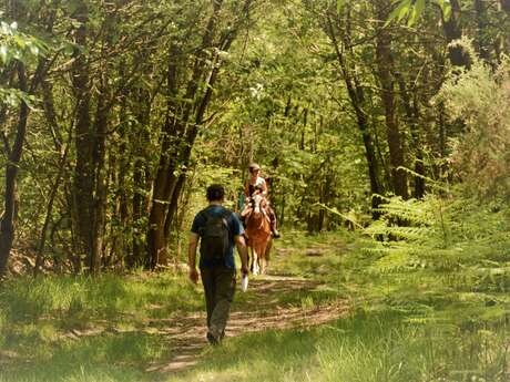SENTIER DE RANDONNÉE LE BOIS DE LA ROCHE HUE À CHEVIRÉ LE ROUGE