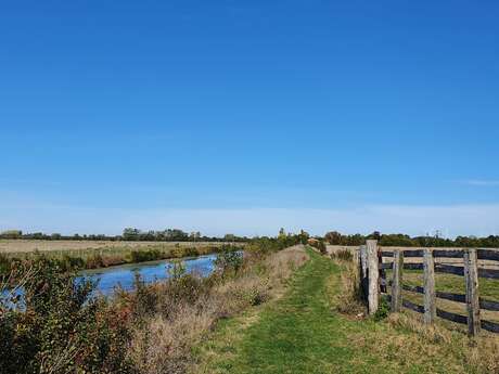 Circuit pédestre Autour du Communal