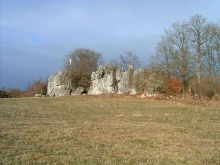 LES ROCHES D'ORGERES