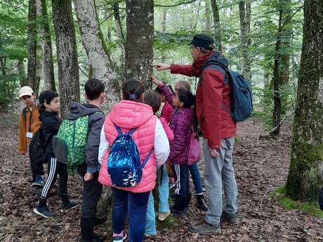 Balade nature "comment produire du bois tout en préservant la forêt ?" avec Pierre Vacher de Fibois
