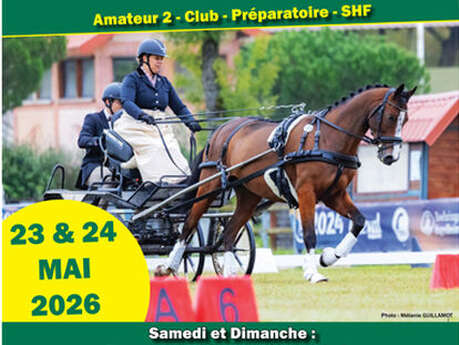 Concours d'attelage