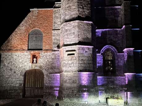 Pierres en Lumières 2026 en l'église Saint-Martin à TOURVILLE SUR ARQUES