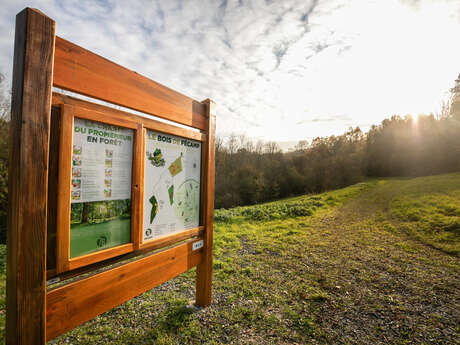 Fabrication d'un sifflet en bois