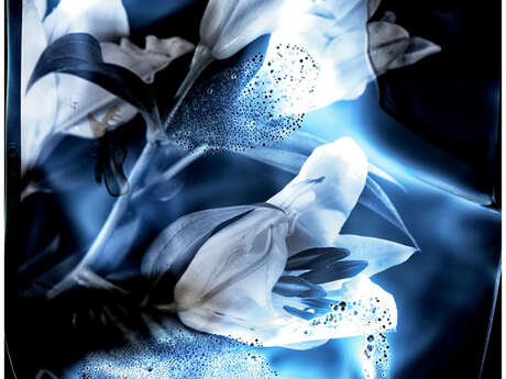 [Exposition] Fleurs Cosmiques