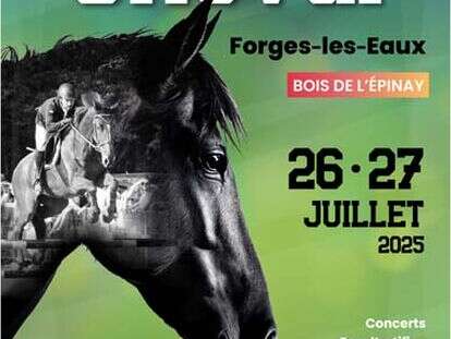 45 ème fête du cheval