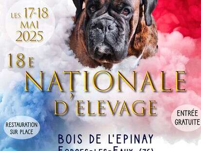 18 éme National d'élevage Boxer