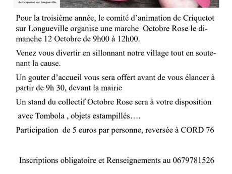 Marche Rose