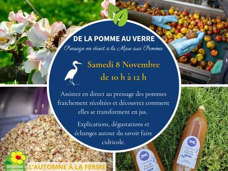 De la pomme au verre