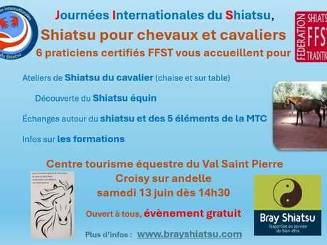 Shiatsu pour chevaux et cavaliers