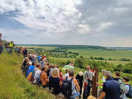 Coteau calcaire de Saint-Ouen-sous-Bailly