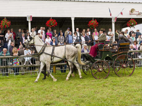 Concours d'Attelage