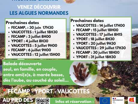 Découverte algues du littoral - Alyferm