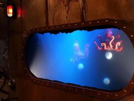 Modulus Jonglage / Marionnettes par la compagnie Théâtre bascule