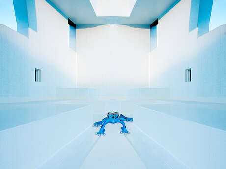 Éric Peltier - Fear of a blue planet Exposition de photographie