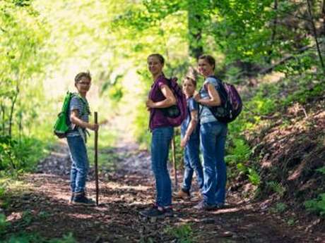 Randonnée guidée - Fabriquez votre bâton de marche