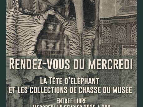 Rendez-vous du mercredi - La tête d'éléphant et les collections de chasse du Musée