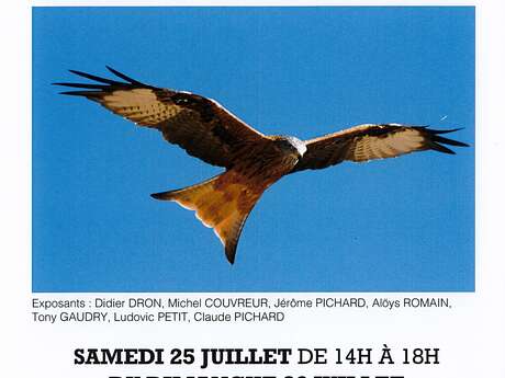 Exposition : Phorestimalia