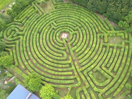 Labyrinthe Artmazia