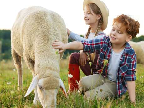 Petits fermiers
