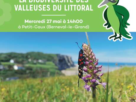 La biodiversité des valleuses du littoral