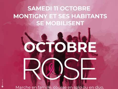 Montigny Octobre Rose