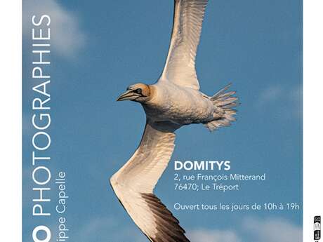 Exposition de photographies