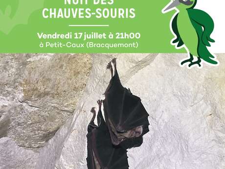 Nuit des chauves-souris