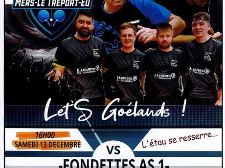 Tennis de table : Championnat de France par équipe