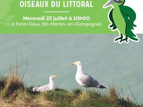 Oiseaux du littoral
