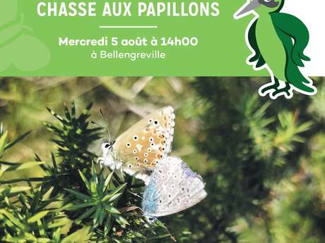 Chasse aux papillons