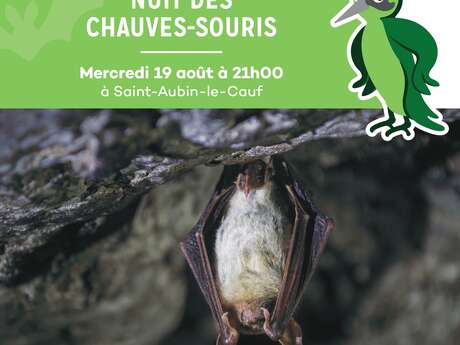 Nuit des chauves-souris