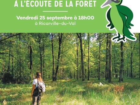 A l'écoute de la forêt