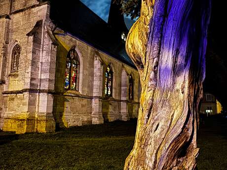 Pierres en Lumières 2026 en l'église Saint-Pierre - Saint-Paul à SAINT-PIERRE DE MANNEVILLE
