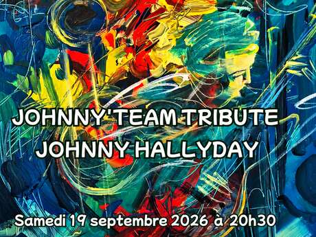 Concert Johnny Hallyday