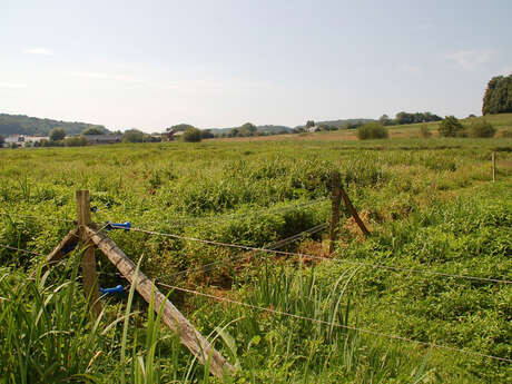 Domaine du Colmoulins