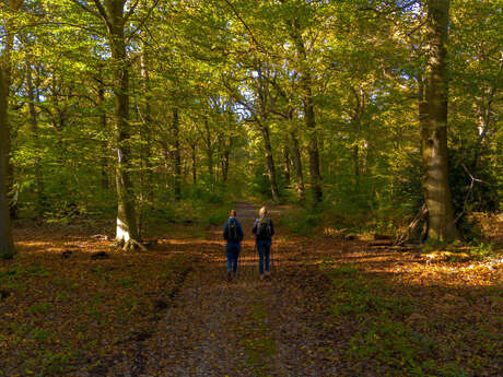 Vers la Forêt d'Eawy
