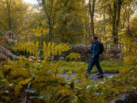 La Varenne et L'Eawy en trail
