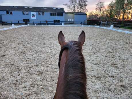 [Balade équestre] 1 heure à cheval ou à poney