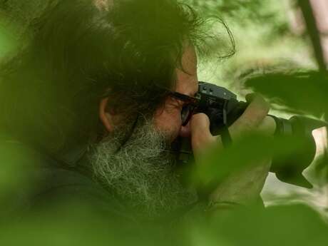 [Exposition temporaire] "A fleur de forêt" de Jacques Perconte