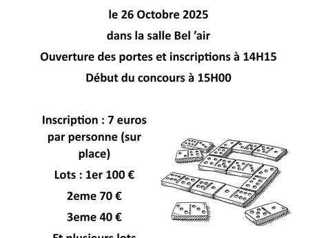 Concours de dominos Concours de dominos