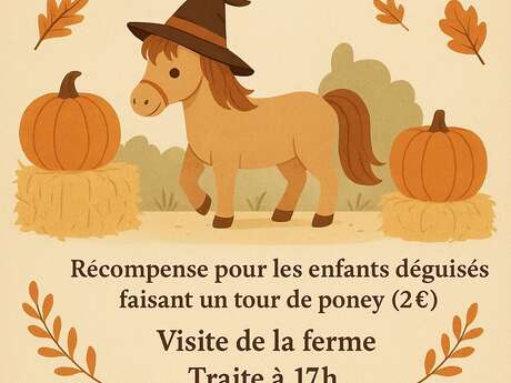 Balade à poney