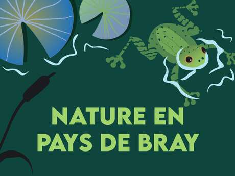 À la recherche des petites bêtes cachées