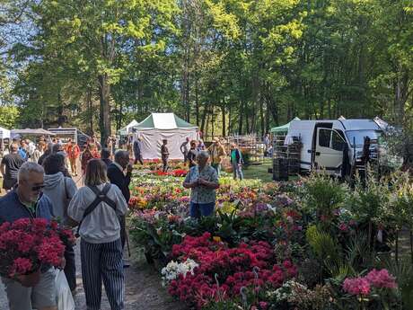 Foire aux plantes