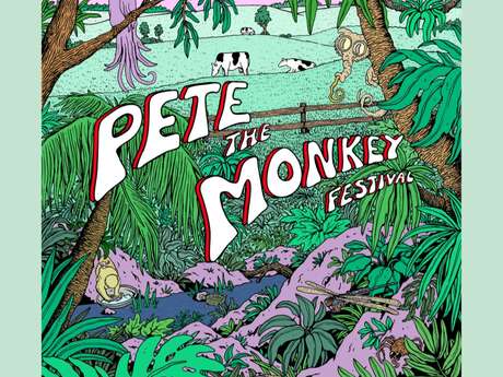Festival Pete the Monkey