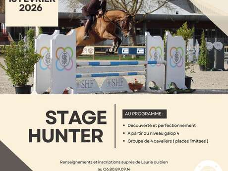 Stage d'équitation - Hunter