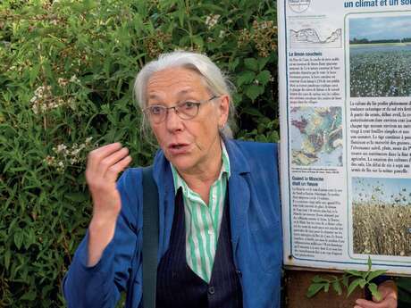 Festival du lin : Circuit Découverte « Le Bourg-Dun, Le Lin et son histoire »