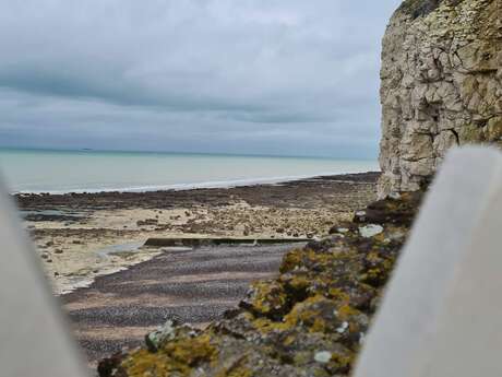 [Balade nature] Le littoral à marée basse - Puys
