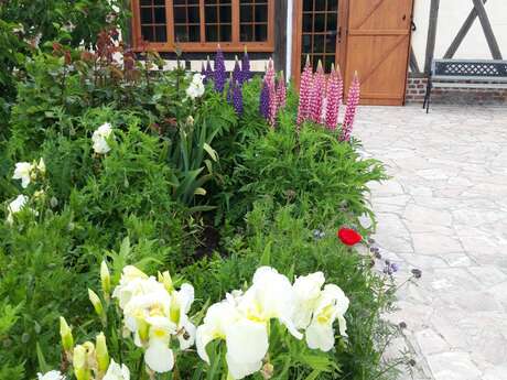 Gîte de La Ferme Bernard