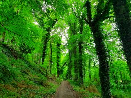 Le Chemin des Frênettes à VTT
